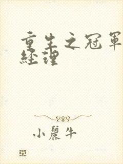 重生之冠军篮球经理