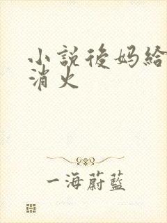 小说后妈给我消消火