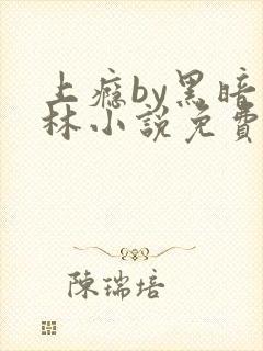 上瘾by黑暗森林小说免费封面