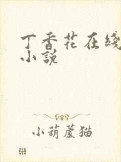 丁香花在线电影小说