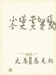 小瞎子by苏软全文免费阅读