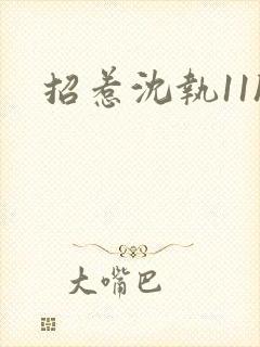 招惹沈执11h封面