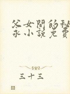 父女间的秘密赵永小说免费阅读封面