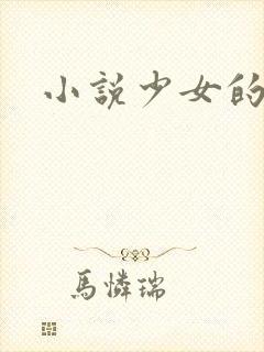 小说少女的心封面