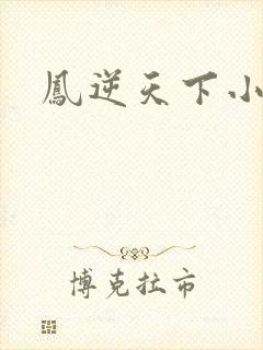 凤逆天下小说