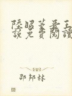 陆昭菱晋王的小说免费阅读