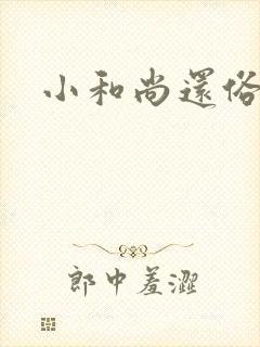 小和尚还俗记封面