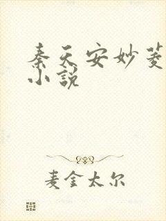 秦天安妙菱修仙小说封面