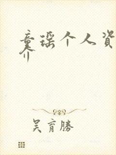 童瑶个人资料简介封面