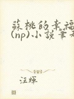 苏桃的幸福生活(np)小说笔趣阁沐沐