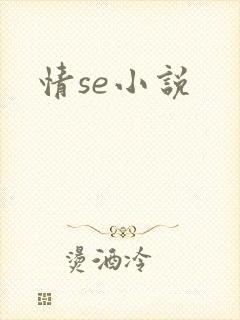 情se小说