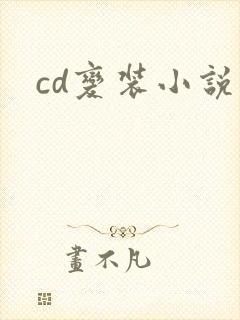 cd变装小说封面