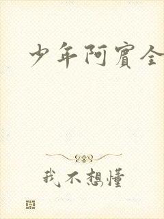 少年阿宾全集封面
