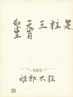 擎天玉柱是什么生肖