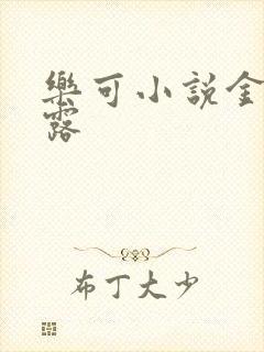 乐可小说金银花露封面