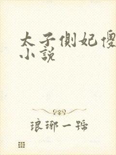 太子侧妃傻乎乎小说