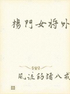 杨门女将外传