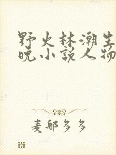 野火林潮生林晚晚小说人物野火封面