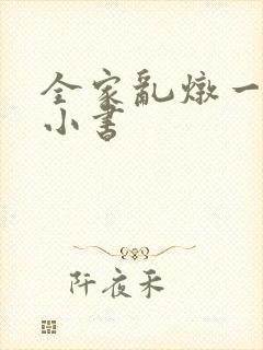 全家乱炖一锅烩小书