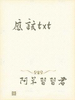 应该txt