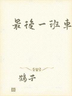 最后一班车小说