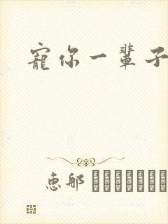 宠你一辈子封面