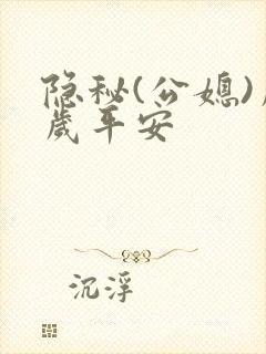 隐秘(公媳)岁岁平安封面