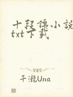 十段锦小说全本txt下载