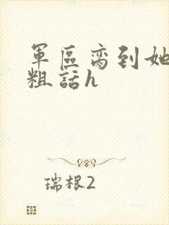 军区脔到她哭h粗话h