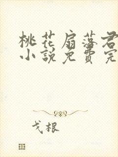 桃花扇落君不还小说免费完整版封面