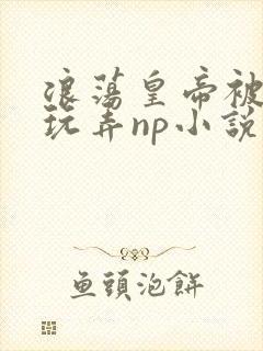 浪荡皇帝被多人玩弄np小说