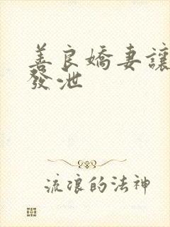 善良娇妻让老丁发泄封面