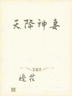 天降神妻封面