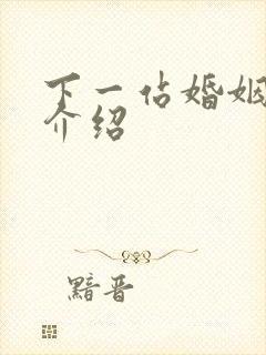 下一站婚姻剧情介绍