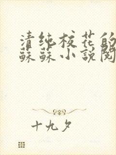 清纯校花的日常苏苏小说阅读全文