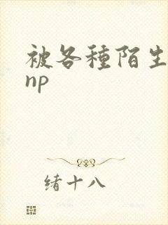 被各种陌生人 np