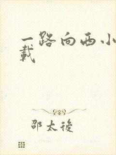 一路向西小说下载封面