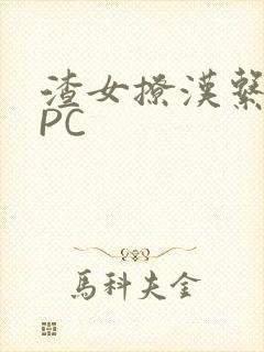 渣女撩汉系统NPC封面