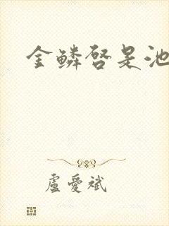 金鳞启是池中物封面