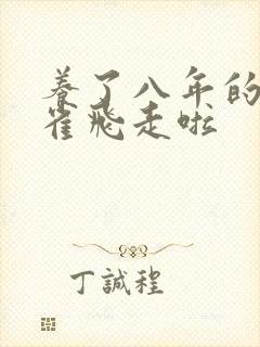 养了八年的金丝雀飞走啦封面