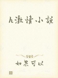 h激情小说