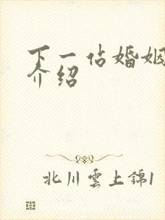 下一站婚姻剧情介绍封面