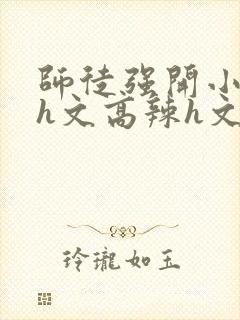 师徒强开小嫩苞h文高辣h文封面