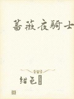 蔷薇夜骑士