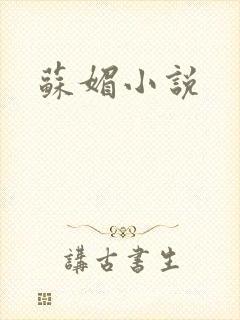 苏媚小说