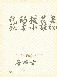 我的校花是福姬苏柔小说txt