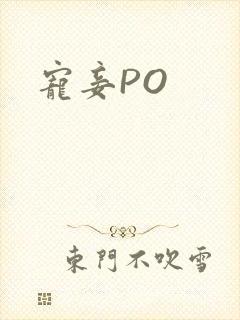 宠妾PO