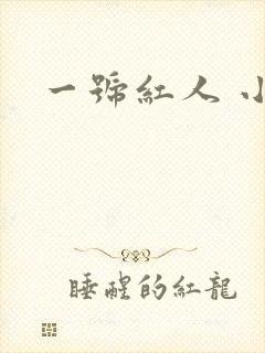 一号红人 小说