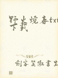 野火烧春txt下载