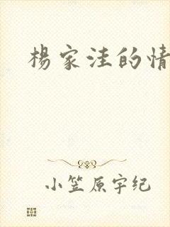 杨家洼的情事封面